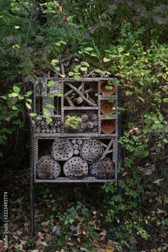 refuge à insecte dans la nature