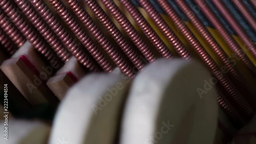 Trembling of Piano Strings. Piano hammers covered with soft felt, striking the strings inside the instrument