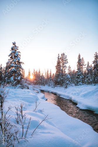 Obraz na plátně Golden winter sunlight lights a winding unfrozen stream between deep snowbanks a