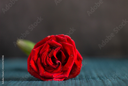 red roses with green leaves on wooden background. valentine 's day card