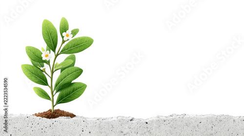 Young plant emerging through concrete symbolizing growth and resilience