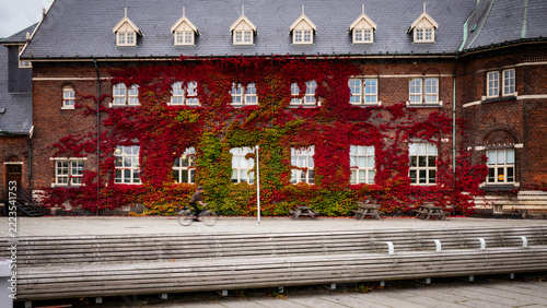 Aarhus is a travel destination in Denmark, Europe.