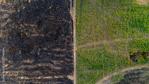 Aerial view of a field divided by a dirt path, showing a stark contrast between a burnt, charred section and a lush green agricultural area in Indonesia.
