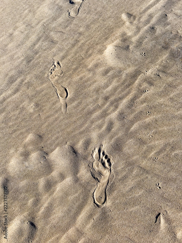 footprints on the beach in South Africa
