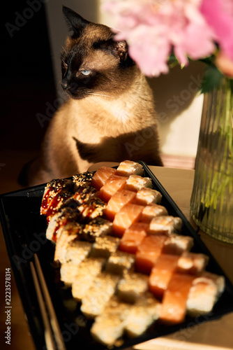 Mekong bobtail cat watching assorted sushi rolls on a tray beside flowers