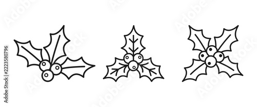 Set of  berry leaves icons.