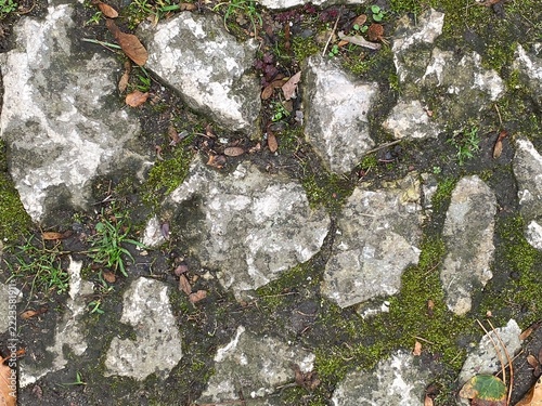 Old stone cobblestone with moss and grass, ground texture background