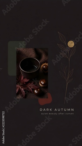 sophisticated minimal modern autumn aesthetic vertical collage and background	