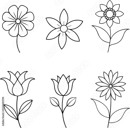 A set of flower line art illustration 