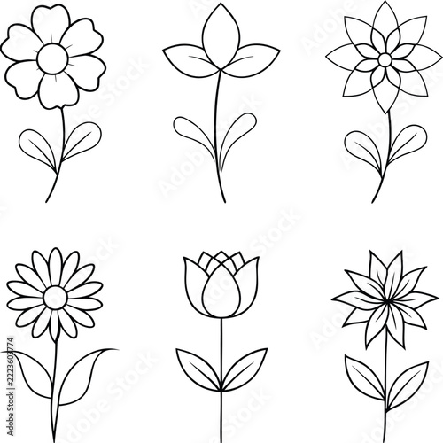 A set of flower line art illustration 
