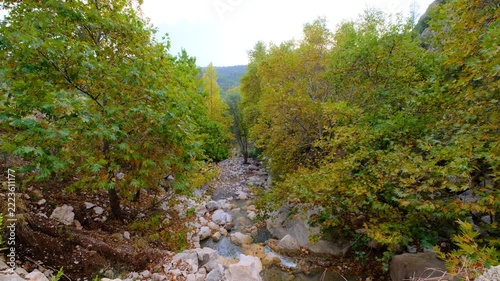 Scenic Woodland Creek with Multiple Cascades in Autumn. Tiered Waterfalls Flowing Through an Autumn Forest Stream. Small Cascading Waterfalls in a Colorful Fall Woodland.