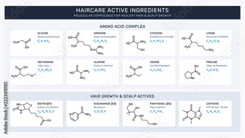 Haircare active ingredients molecule set. Amino acid complex Glycine, Arginine, Cysteine, Lysine, Methionine, Alanine, Serine, Proline and Hair growth Biotin B7, Niacinamide B3, Panthenol B5, Caffeine