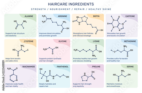Haircare active ingredients molecule set. Amino acid complex Glycine, Arginine, Cysteine, Lysine, Methionine, Alanine, Serine, Proline and Hair growth Biotin B7, Niacinamide B3, Panthenol B5, Caffeine
