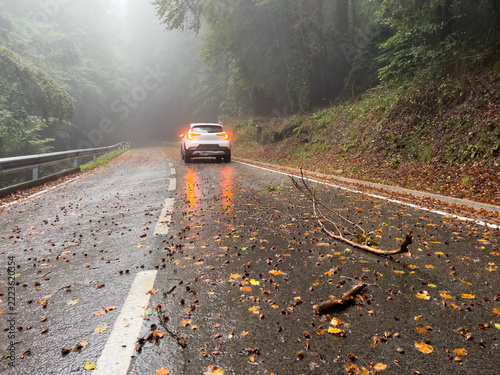 Car driving on wet road in foggy forest C 153, Catalonia