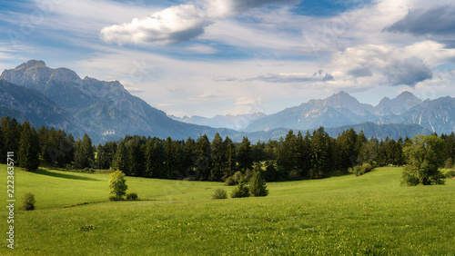 Green meadow and Bavarian Alps near Forggensee