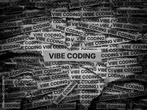 Strips of newspaper with the words Vibe Coding typed on them. Black and white. Close up.