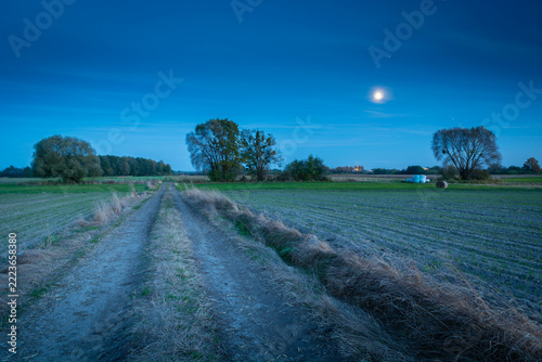 Landscape with a dirt road and fields, evening sky with the moon.