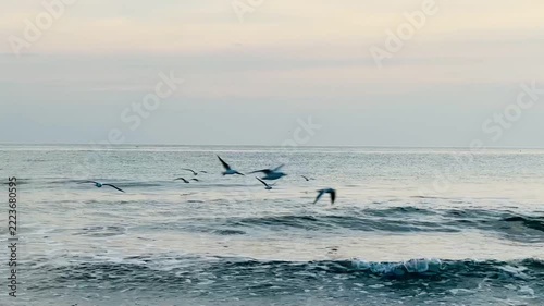 kite surfing on the beach