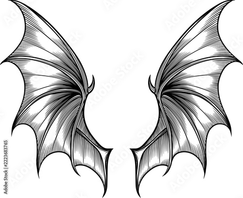 Dragon wings, demon wings, devil wings ink illustration isolated