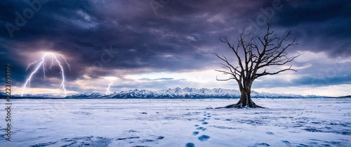Lone dead tree with bare branches beside trail of footprints on frozen ground, purple storm clouds at dusk. Winter solitude and harsh nature concept.