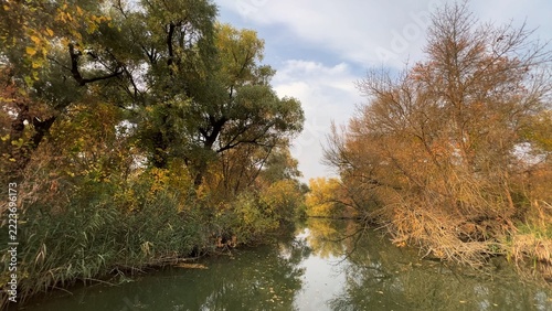 Golden autumn in the floodplain forest of the Dniester Delta.