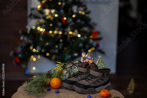 Christmas Tree Branches and Gift Filled Boots in Warm Evening Light. St Nicholas Holiday Surprise.