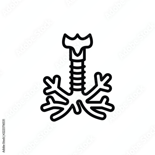 Trachea thin line icon representing the windpipe, airway passage, respiratory function, and human anatomy. Vector illustration.