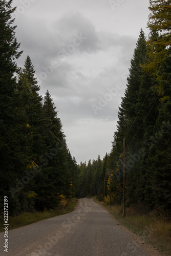 Isolated Road in Whitefish Montana Surrounded by Trees