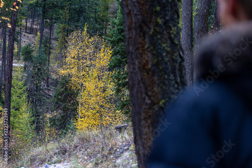 Man Hiking in Fall Colors