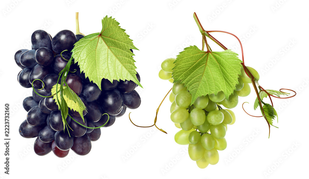 Fototapeta premium Grapes of different varieties against transparent background