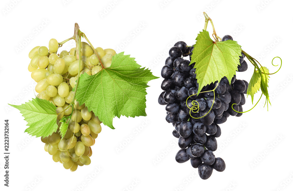 Fototapeta premium Grapes of different varieties against transparent background