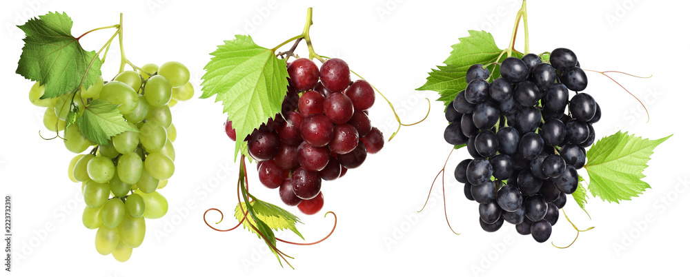 Fototapeta premium Red, green and black grape clusters against transparent background, set