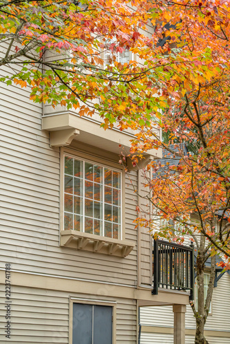 Autumn Colors Framing a Residential House with Beige Siding and Large Windows