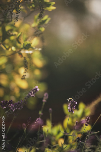 Spätsommer