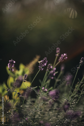 Spätsommer