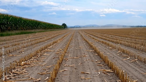 Harvested agricultural field with dry stubble rows under cloudy sky near corn field