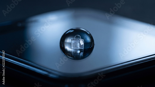 Digital Shopping Security: E-commerce Protection on Mobile Device