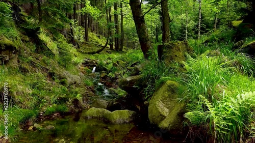 Seamless 4k looping video (1 min) of a small Seamless 4k looping video (1 min) of a small mountain creek flowing through a lush green forest with ferns, mossy boulders, sound water and birds 