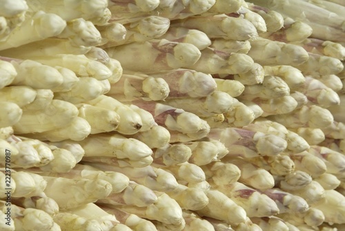 Asparagus, white / (Asparagus officinalis)
