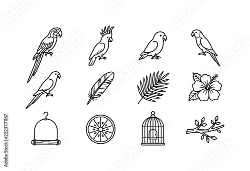 Tropical Parrot Collection, line icon set featuring macaw, cockatoo, lovebird, lorikeet, conure, parrot feather, palm leaf, tropical flower, perch, fruit slice, bird cage and jungle branch, covering