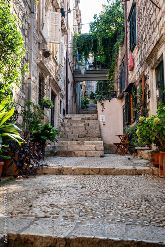 Picturesque Garden Alley in Dubrovnik Old Town, Croatia