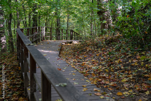 Photography Wooden ecotrail with railing crosses autumn forest on Vorobyovy Gory in Moscow, Russia