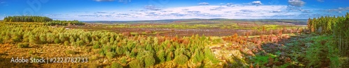 Panoramic View of High Fens Heathland and Forest Landscape in Autumn, East Belgium