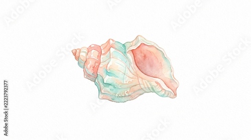 Watercolor seashell conch painting featuring soft pastel colors, marine life and summer beach concept