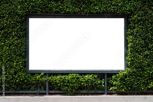Large blank billboard surrounded by lush green foliage wall