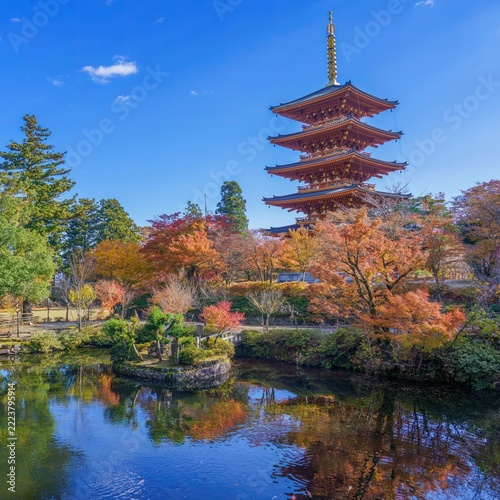 秋の青空に映える五重塔と紅葉の絶景と広大なコピースペース