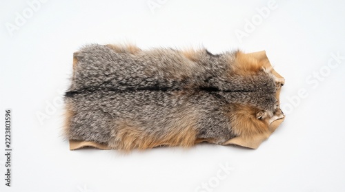 tanned fox fur pelt laid flat on a clean white background