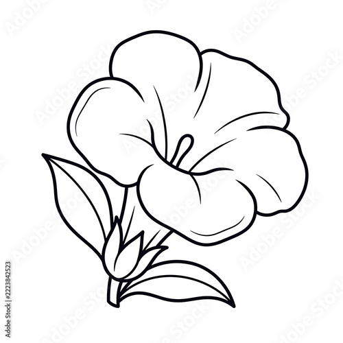Yellow Trumpet Flower Black Outline Botanical Illustration