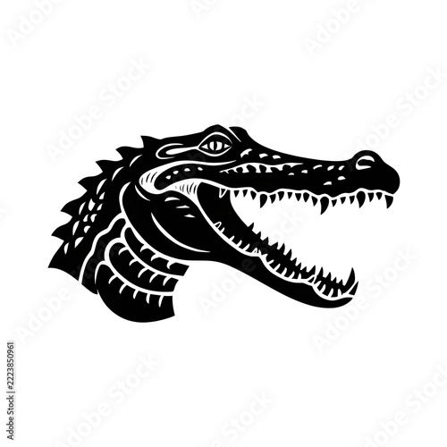 Crocodile aligator head isolated on white