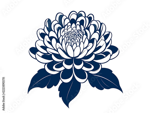 Decorative floral arrangement with blooming flowers and natural foliage
